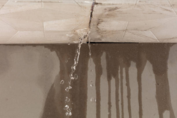 Professional Structural Drying technician working in Dallas, TX